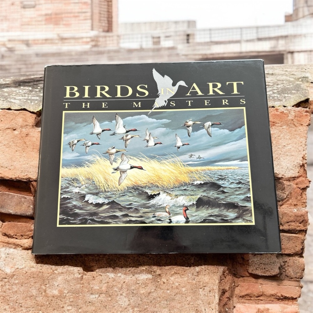 Vintage Birds in Art The Masters Hardcover Art Book 1990 Edition Colour